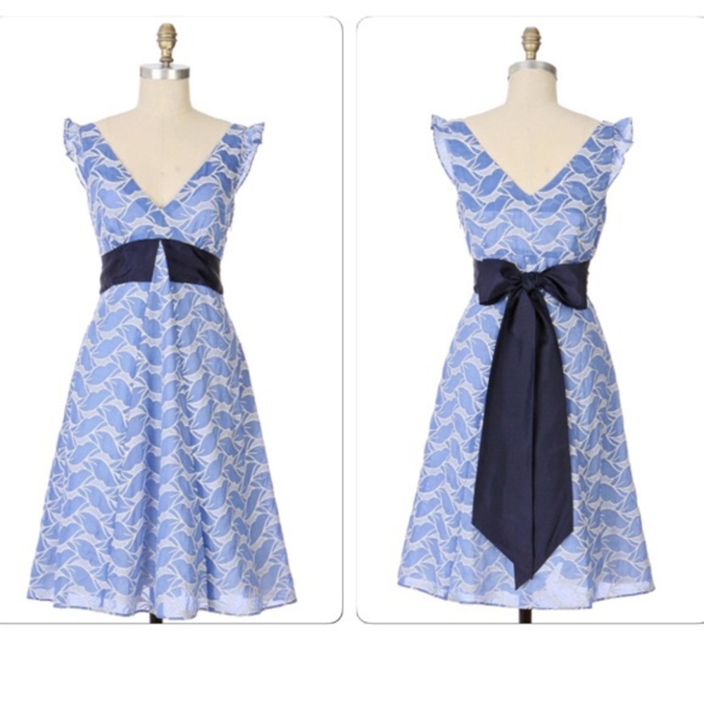 Anthropologie Blue and White Dress